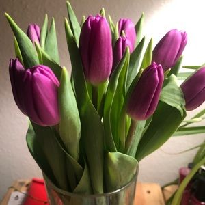 Meet your Posher, Tasha